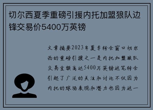 切尔西夏季重磅引援内托加盟狼队边锋交易价5400万英镑