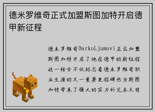 德米罗维奇正式加盟斯图加特开启德甲新征程
